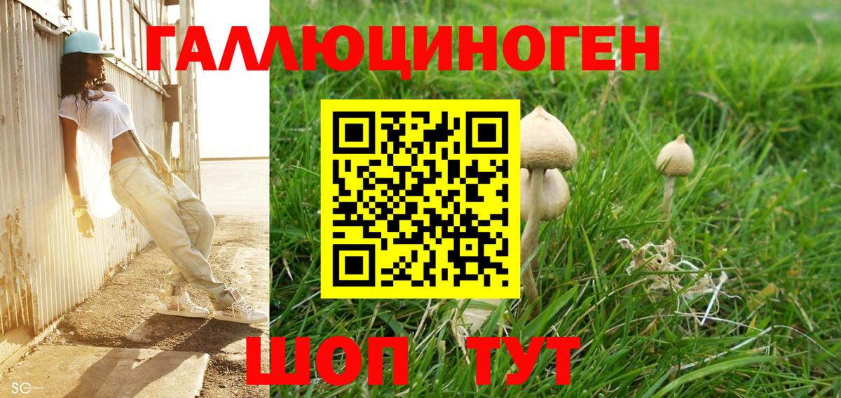 Галлюциногенные грибы Magic Shrooms Рязань