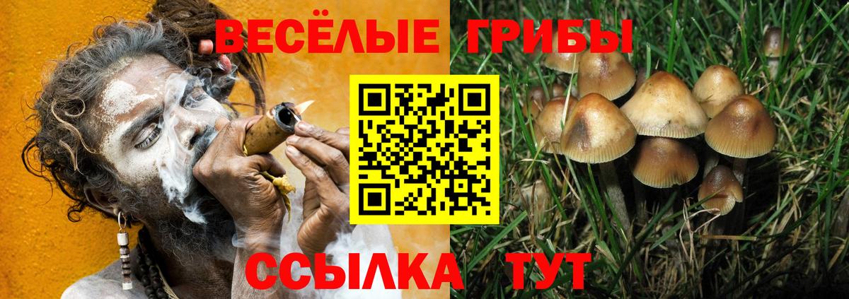Рязань  Псилоцибиновые грибы мицелий  купить наркоту  Вход с VPN 